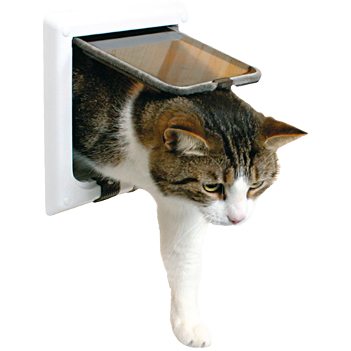 Katzenklappe in Mauer oder Wand einbauen lassen